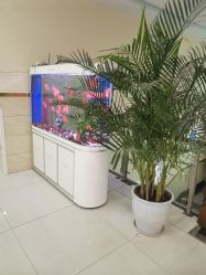 -成都军建医院·疤痕诊疗中心