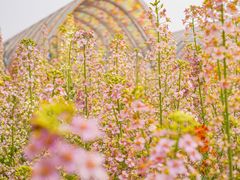 -中国天府农业博览园