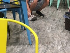 -东北饭店·饺饺者( 学府壹号店)