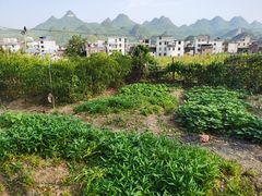 -逢缘柴火农家乐(连南店)