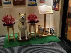 -大江户·温泉洗浴(浑南店)