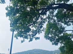 -句容茅山景区