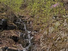 -五女峰国家森林公园