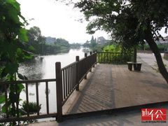 -南汇水蜜桃采摘(大团店)