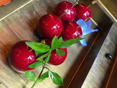 樱桃鹅肝-解香楼(八盘岭路店)