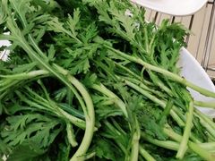 -蜀皇·菌汤鲜黄牛肉汤锅(宽窄巷子店)