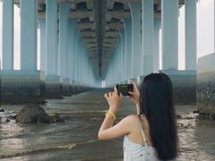 -宝安西湾红树林湿地公园