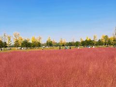 -汉长安城未央宫国家考古遗址公园