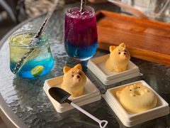 -柴犬高等学院·狗咖·柴犬售卖·宠物训练