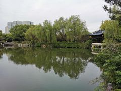 -月湖公园