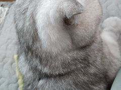 -猫音日语留学培训