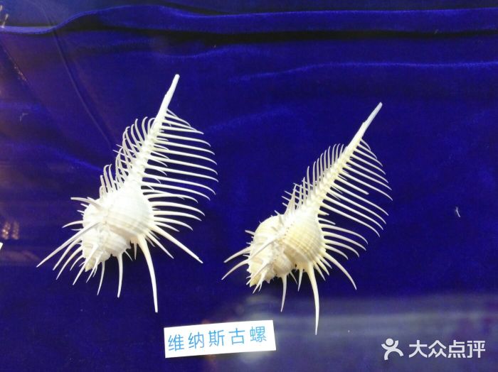 资深宅女102上传的图片