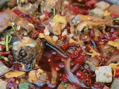 -友记功夫香·人民大排档(红牌楼店)