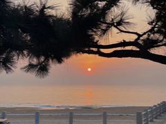 -日照灯塔风景区