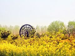 -溱湖国家湿地公园