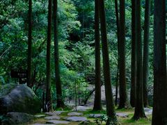 -雁荡山风景名胜区
