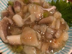 芥末章鱼-鸟亭·居酒屋(青年路店)
