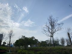 -尚贤河湿地