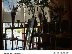 -明星酒店•FORNETTO佛纳朵意餐厅•披萨•意面(湘隆时代广场店)