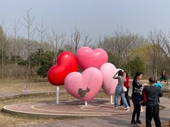 -东郊湿地公园