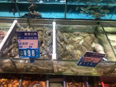 水产区-强记海鲜·大排档(蛇口新街店)