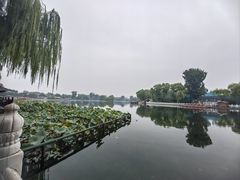 -同和居(什刹海店)