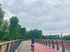 -府河摄影公园
