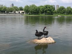 -长春世界雕塑园冰雪艺术天地