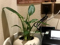 -一叶一世界·素食餐厅(锦华万达店)