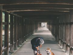 -乐宠动物医院
