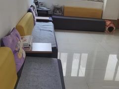 -美联众合动物医院·24h京西诊疗中心