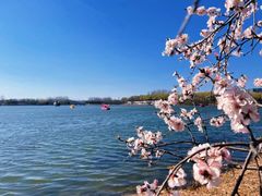 -大兴滨河森林公园