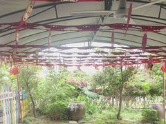 -麻涌飞鸭开心农场