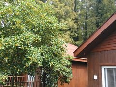 -上海怡沁园度假酒店