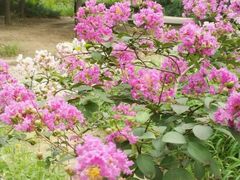 -回龙观体育文化公园