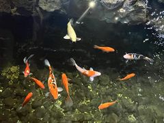 -黄鹤楼大酒店(友谊北大街店)
