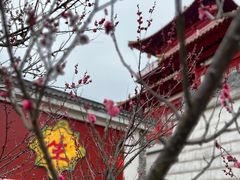 -茅山东方盐湖城景区