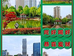 -新虹桥中心花园