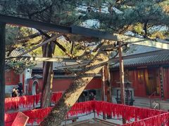 -红螺寺