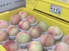 -老袁家蜜桃农场·阳山水蜜桃