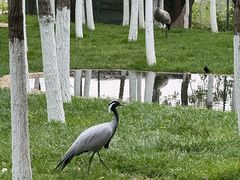 -艾溪湖湿地公园