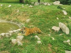 -西安秦岭野生动物园