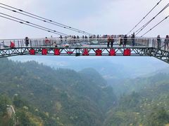 -梦幻奥陶纪景区