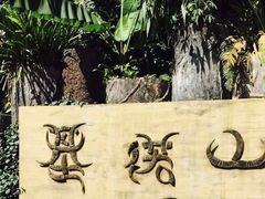-西双版纳基诺山寨