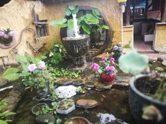 -园林美食城·本土农家菜(杨和镇店)