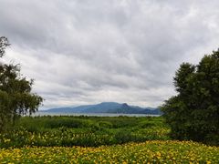 -抚仙湖禄充风景区