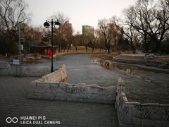 -万柳阁小馆·花园餐厅(龙潭湖店)