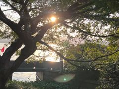 -小骨煲金华砂锅(转塘金街美地店)