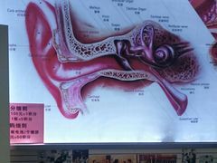 -自然之声助听器(平凉店)