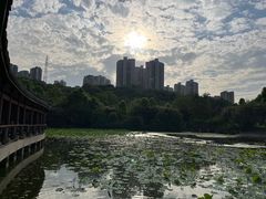 -龙头寺公园